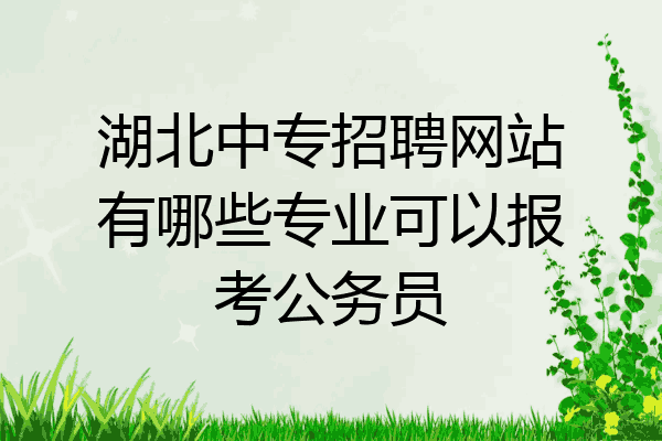 湖北中专招聘网站有哪些专业可以报考公务员