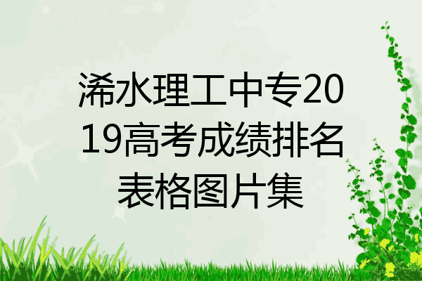 浠水理工中专2019高考成绩排名表格图片集