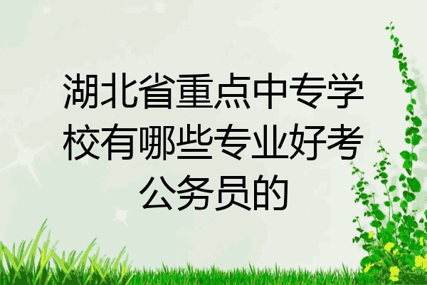 湖北省重点中专学校有哪些专业好考公务员的