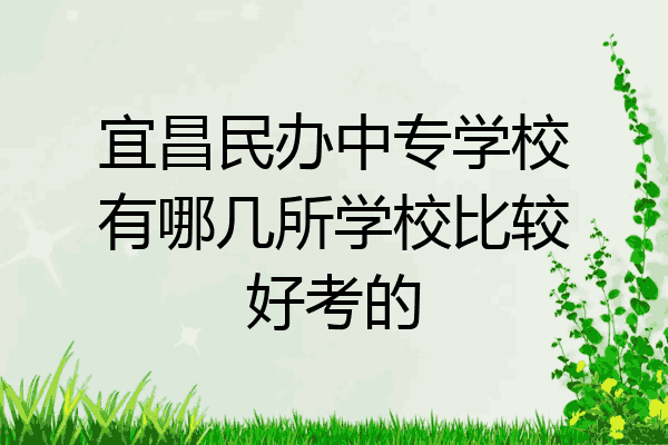 宜昌民办中专学校有哪几所学校比较好考的