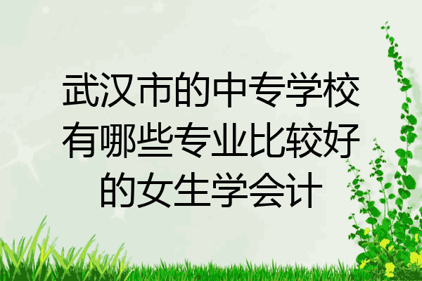 武汉市的中专学校有哪些专业比较好的女生学会计