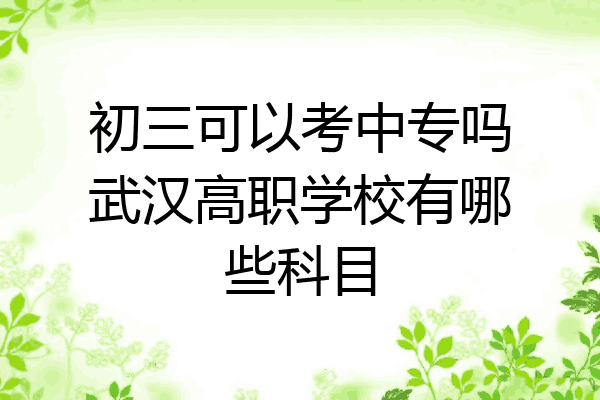 初三可以考中专吗武汉高职学校有哪些科目