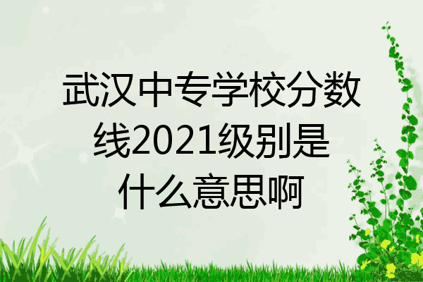 武汉中专学校分数线2021级别是什么意思啊