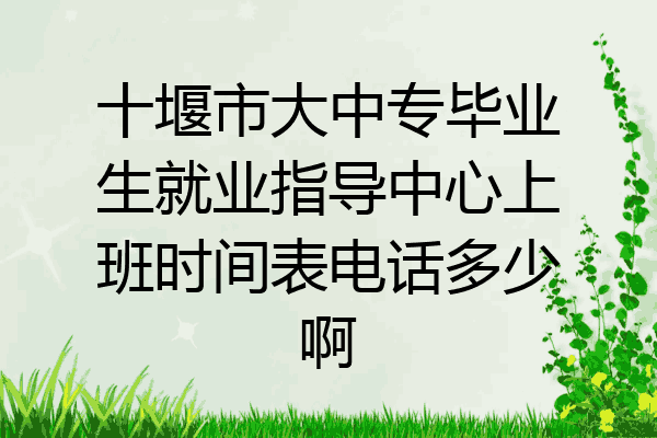 十堰市大中专毕业生就业指导中心上班时间表电话多少啊