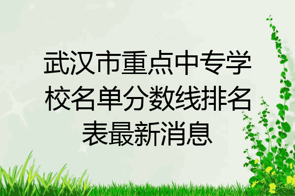 武汉市重点中专学校名单分数线排名表最新消息