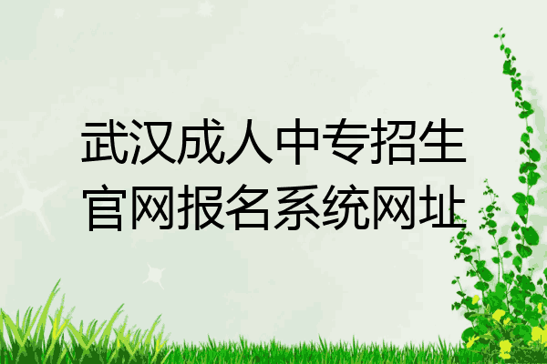 武汉成人中专招生官网报名系统网址