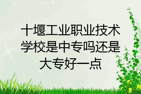 十堰工业职业技术学校是中专吗还是大专好一点