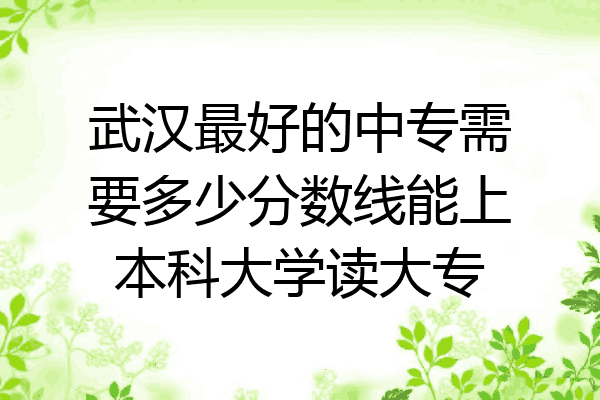 武汉最好的中专需要多少分数线能上本科大学读大专