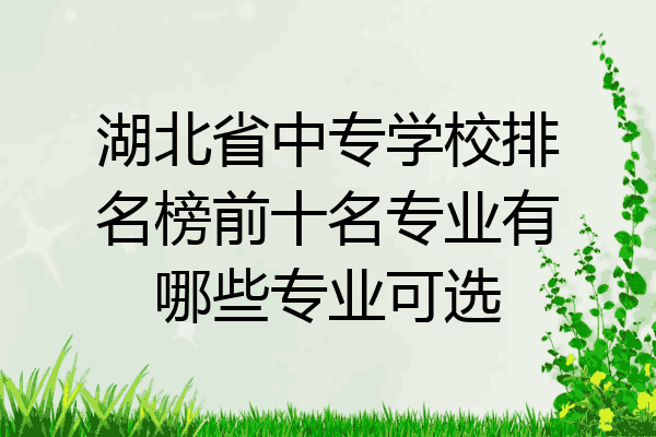 湖北省中专学校排名榜前十名专业有哪些专业可选