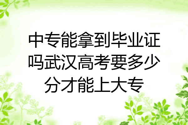 中专能拿到毕业证吗武汉高考要多少分才能上大专