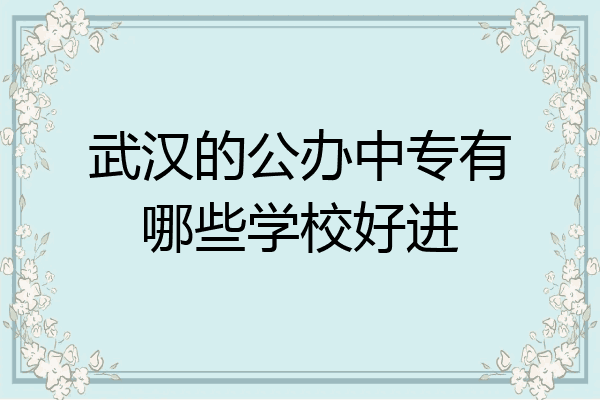 武汉的公办中专有哪些学校好进