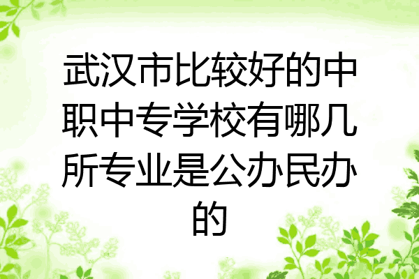 武汉市比较好的中职中专学校有哪几所专业是公办民办的