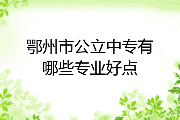 鄂州市公立中专有哪些专业好点