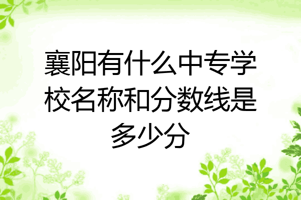 襄阳有什么中专学校名称和分数线是多少分