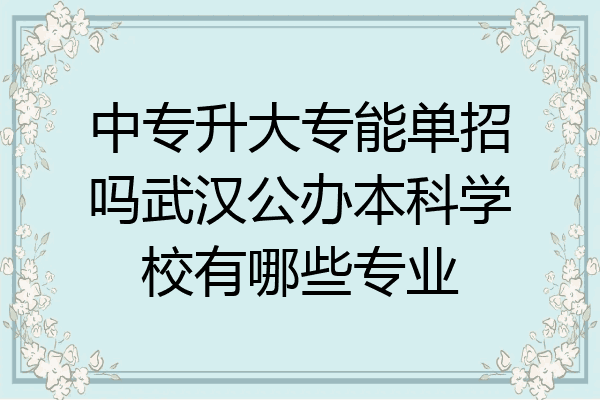 中专升大专能单招吗武汉公办本科学校有哪些专业
