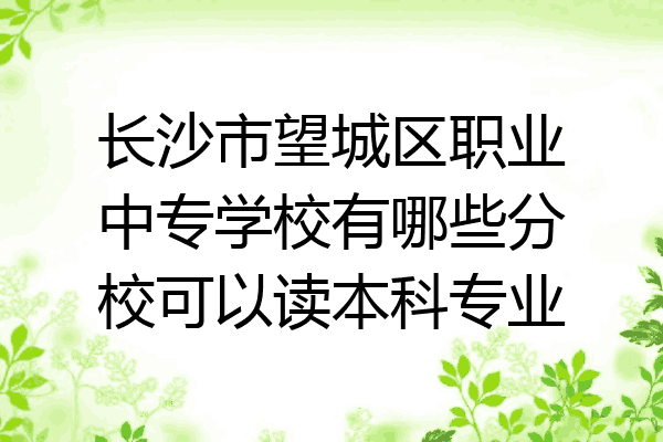 长沙市望城区职业中专学校有哪些分校可以读本科专业