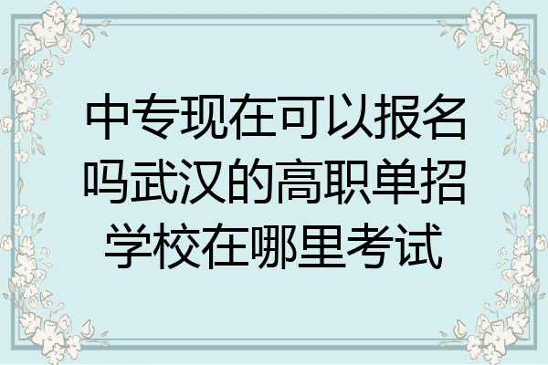 中专现在可以报名吗武汉的高职单招学校在哪里考试