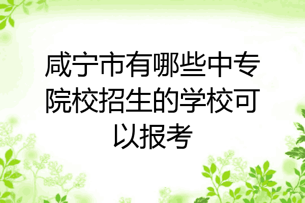 咸宁市有哪些中专院校招生的学校可以报考