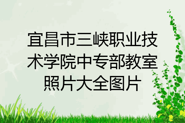 宜昌市三峡职业技术学院中专部教室照片大全图片