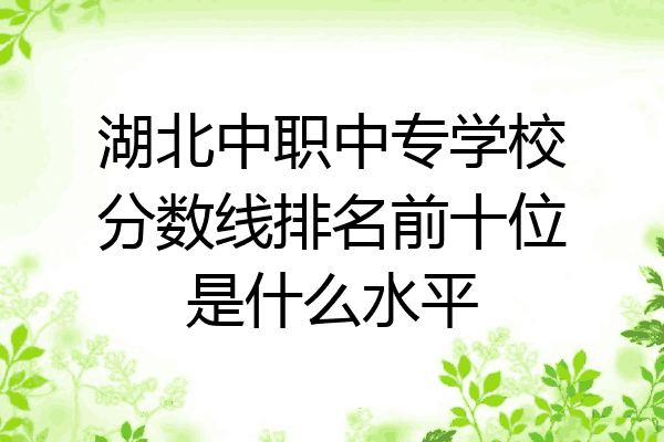 湖北中职中专学校分数线排名前十位是什么水平