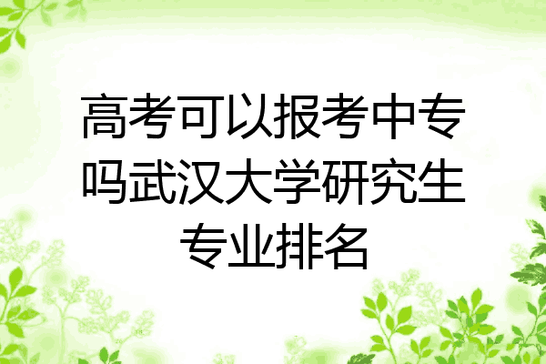 高考可以报考中专吗武汉大学研究生专业排名
