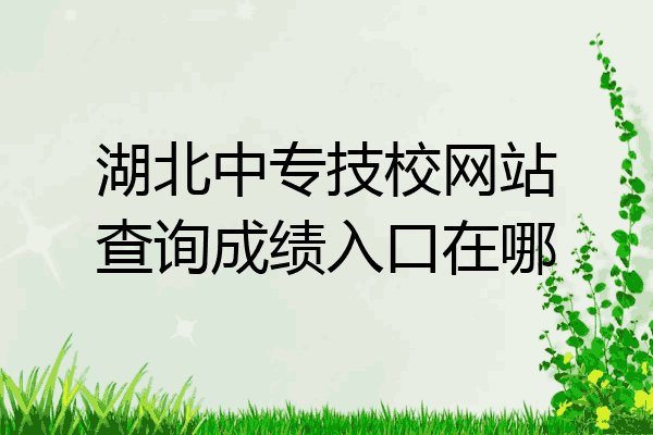 湖北中专技校网站查询成绩入口在哪