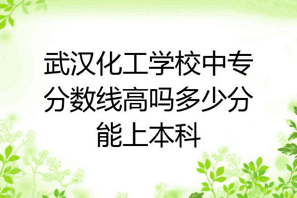武汉化工学校中专分数线高吗多少分能上本科