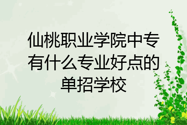 仙桃职业学院中专有什么专业好点的单招学校