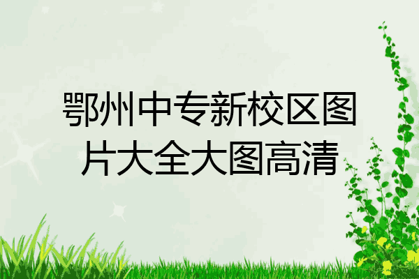 鄂州中专新校区图片大全大图高清