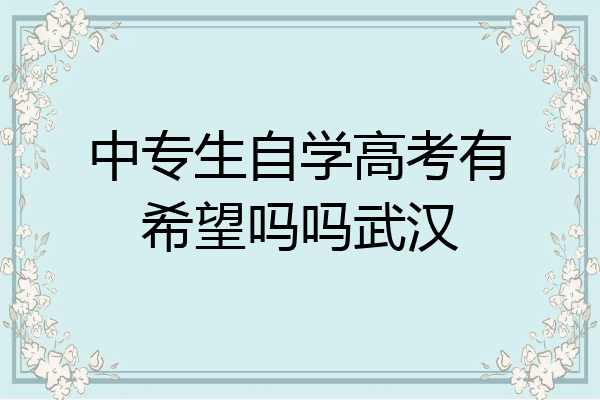 中专生自学高考有希望吗吗武汉