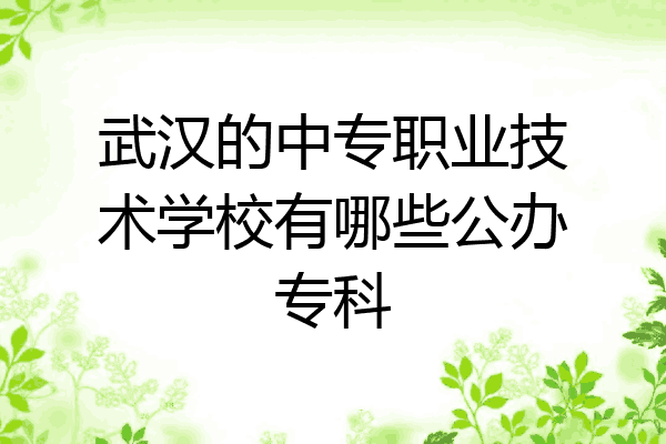武汉的中专职业技术学校有哪些公办专科