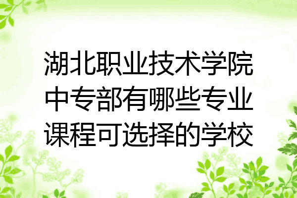 湖北职业技术学院中专部有哪些专业课程可选择的学校