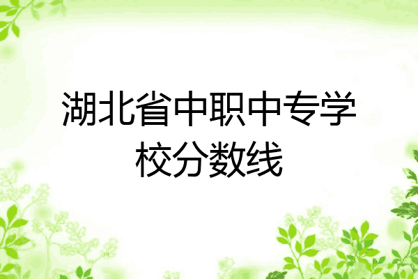 湖北省中职中专学校分数线