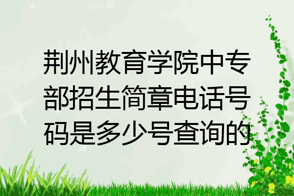 荆州教育学院中专部招生简章电话号码是多少号查询的