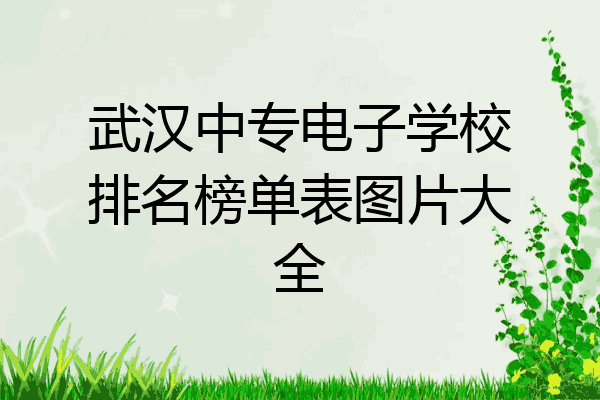 武汉中专电子学校排名榜单表图片大全