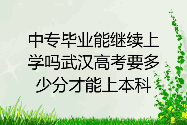 中专毕业能继续上学吗武汉高考要多少分才能上本科