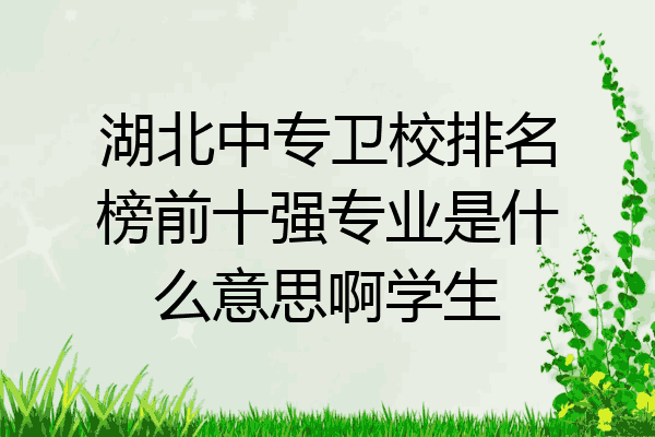 湖北中专卫校排名榜前十强专业是什么意思啊学生