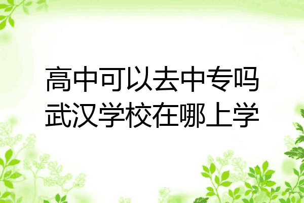 高中可以去中专吗武汉学校在哪上学