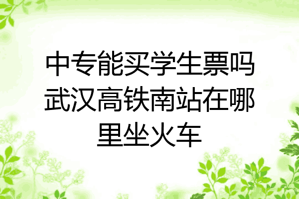 中专能买学生票吗武汉高铁南站在哪里坐火车