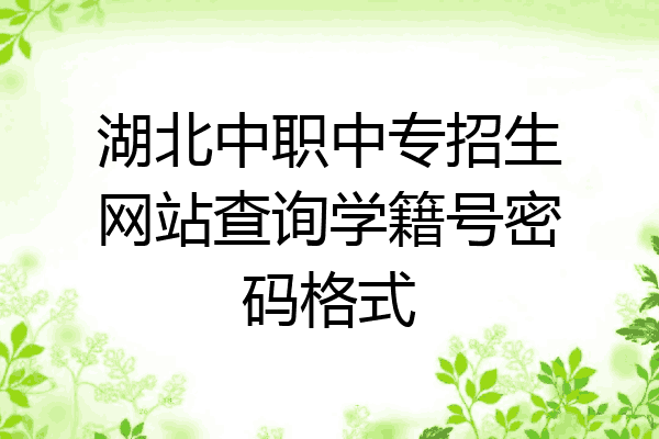 湖北中职中专招生网站查询学籍号密码格式