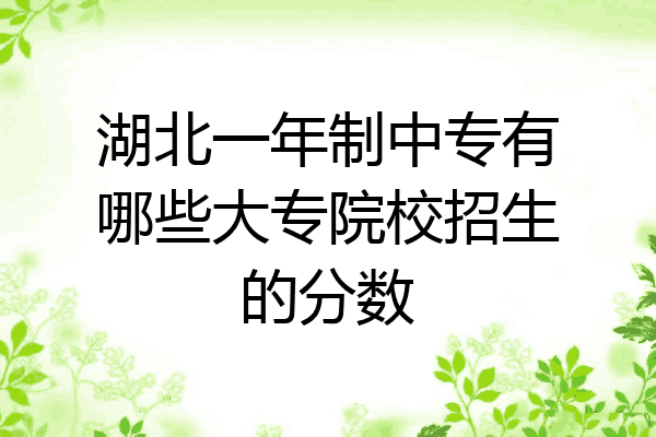 湖北一年制中专有哪些大专院校招生的分数
