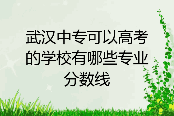 武汉中专可以高考的学校有哪些专业分数线