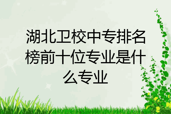 湖北卫校中专排名榜前十位专业是什么专业