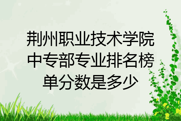 荆州职业技术学院中专部专业排名榜单分数是多少