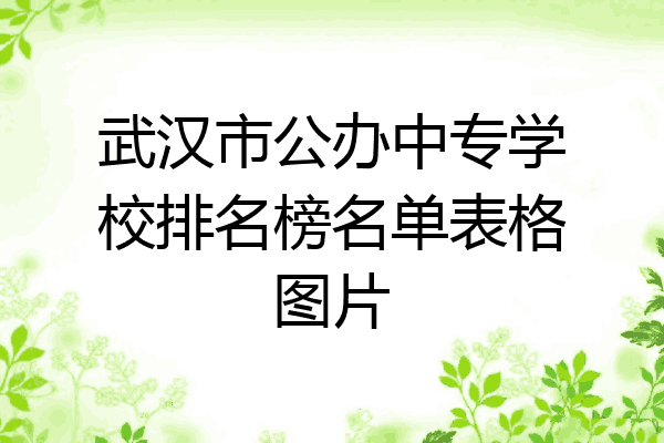武汉市公办中专学校排名榜名单表格图片