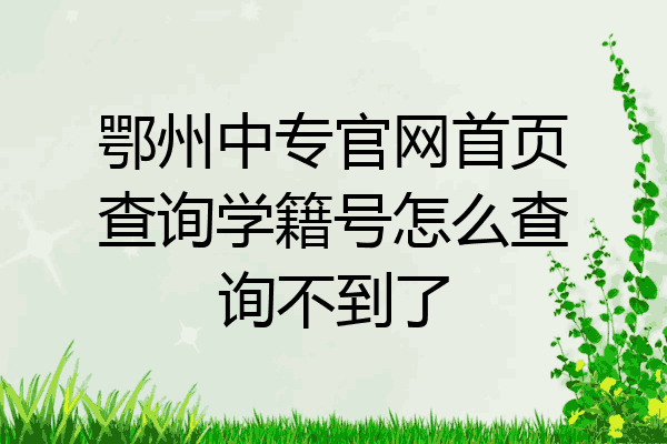 鄂州中专官网首页查询学籍号怎么查询不到了