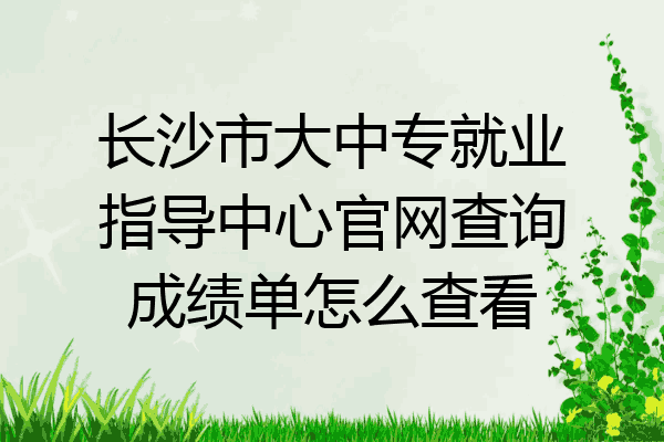 长沙市大中专就业指导中心官网查询成绩单怎么查看
