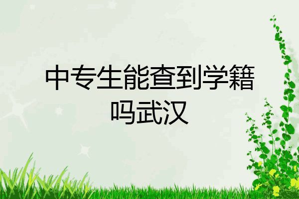 中专生能查到学籍吗武汉
