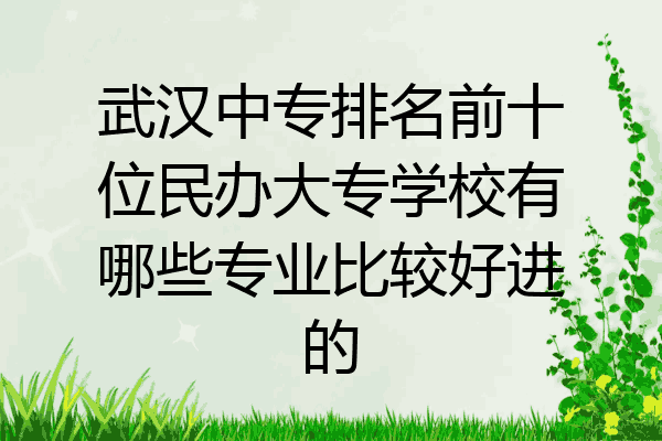 武汉中专排名前十位民办大专学校有哪些专业比较好进的