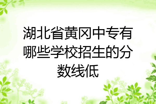 湖北省黄冈中专有哪些学校招生的分数线低